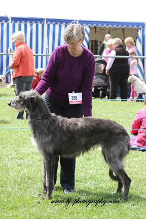 BOB & BOS Houndshow Open 2010